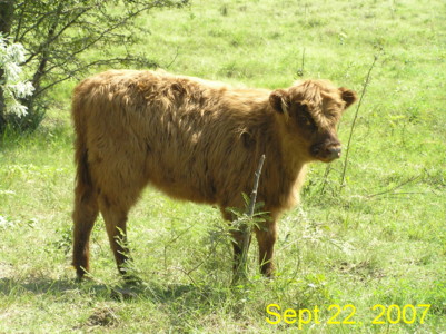 Ros, Sep 22 2007
